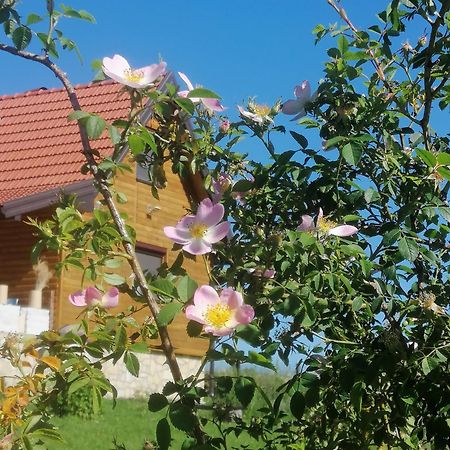 Tarin Zov Kaludjerske Bare Exterior foto